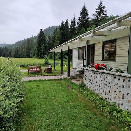 River Run Ranch - Telemark Drangedal Εξωτερικό φωτογραφία