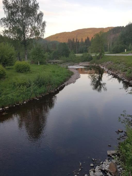 River Run Ranch - Telemark Drangedal Εξωτερικό φωτογραφία