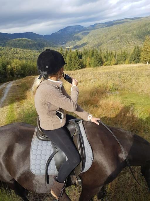River Run Ranch - Telemark Drangedal Εξωτερικό φωτογραφία