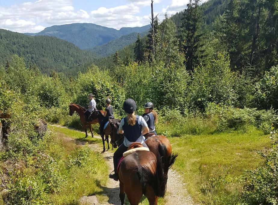 River Run Ranch - Telemark Drangedal Εξωτερικό φωτογραφία