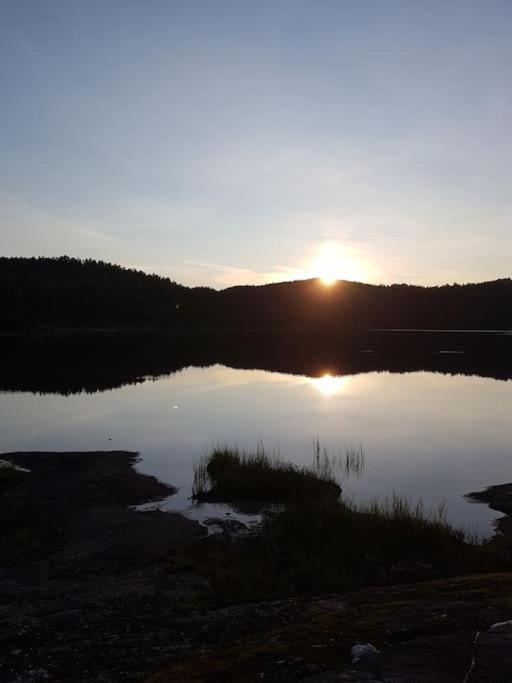River Run Ranch - Telemark Drangedal Εξωτερικό φωτογραφία