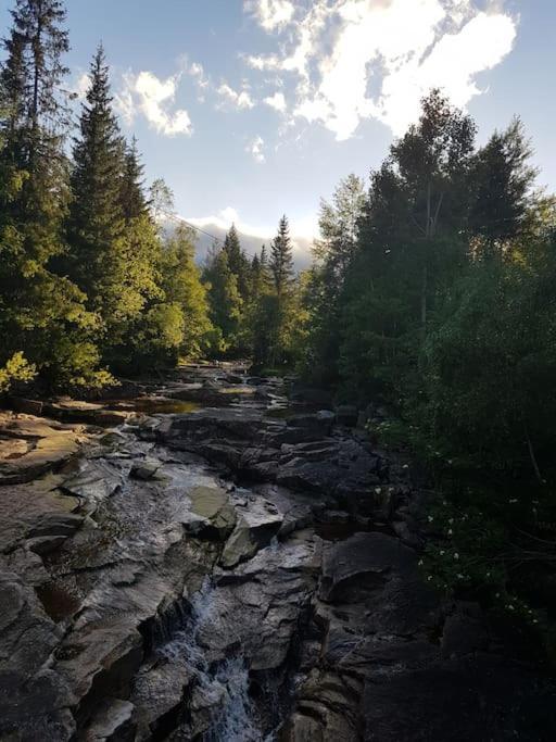 River Run Ranch - Telemark Drangedal Εξωτερικό φωτογραφία