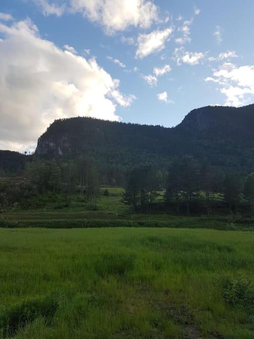 River Run Ranch - Telemark Drangedal Εξωτερικό φωτογραφία
