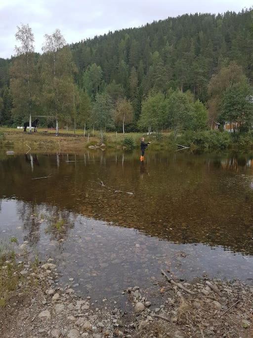 River Run Ranch - Telemark Drangedal Εξωτερικό φωτογραφία