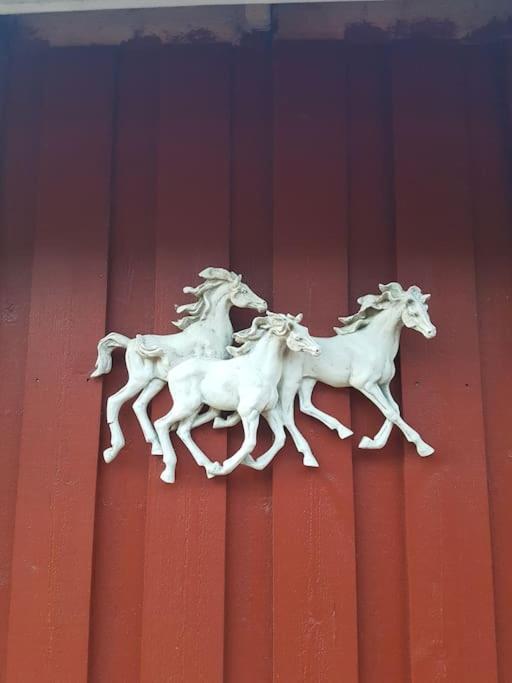 River Run Ranch - Telemark Drangedal Εξωτερικό φωτογραφία