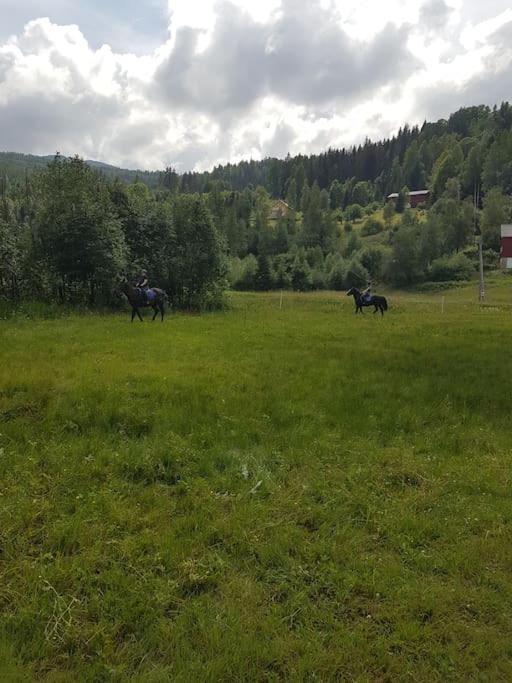 River Run Ranch - Telemark Drangedal Εξωτερικό φωτογραφία