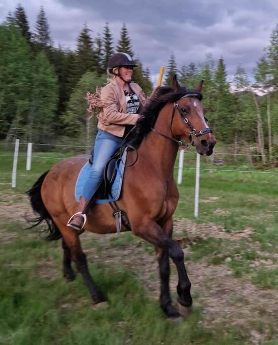 River Run Ranch - Telemark Drangedal Εξωτερικό φωτογραφία