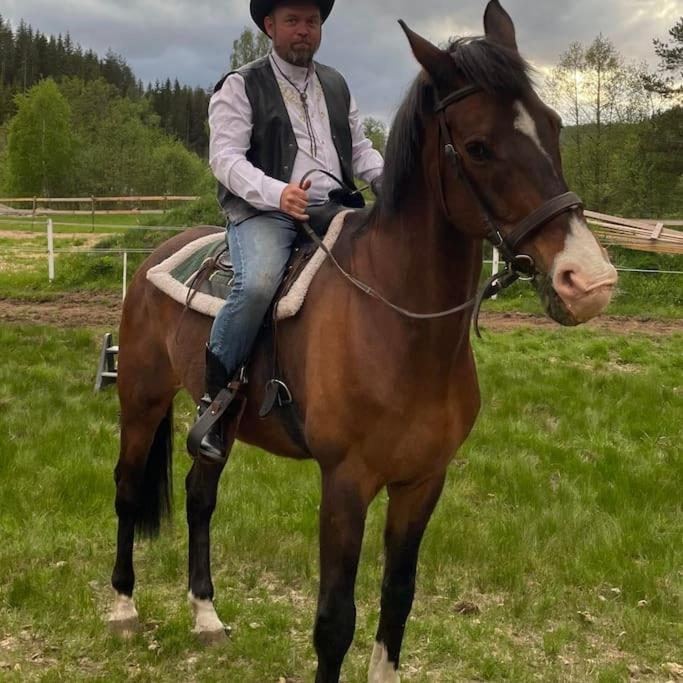 River Run Ranch - Telemark Drangedal Εξωτερικό φωτογραφία