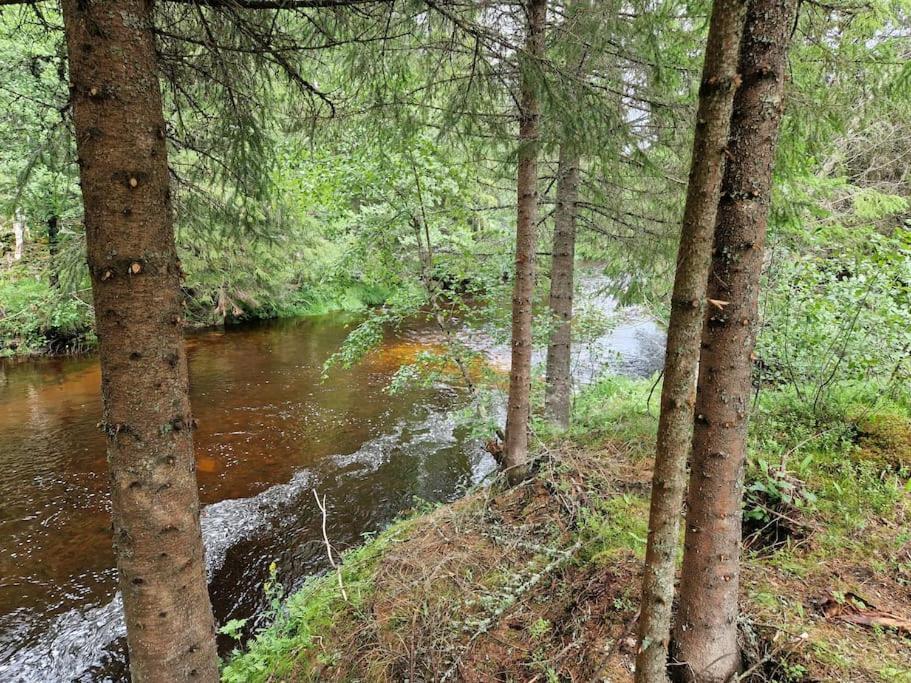 River Run Ranch - Telemark Drangedal Εξωτερικό φωτογραφία
