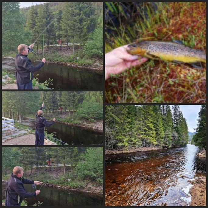 River Run Ranch - Telemark Drangedal Εξωτερικό φωτογραφία